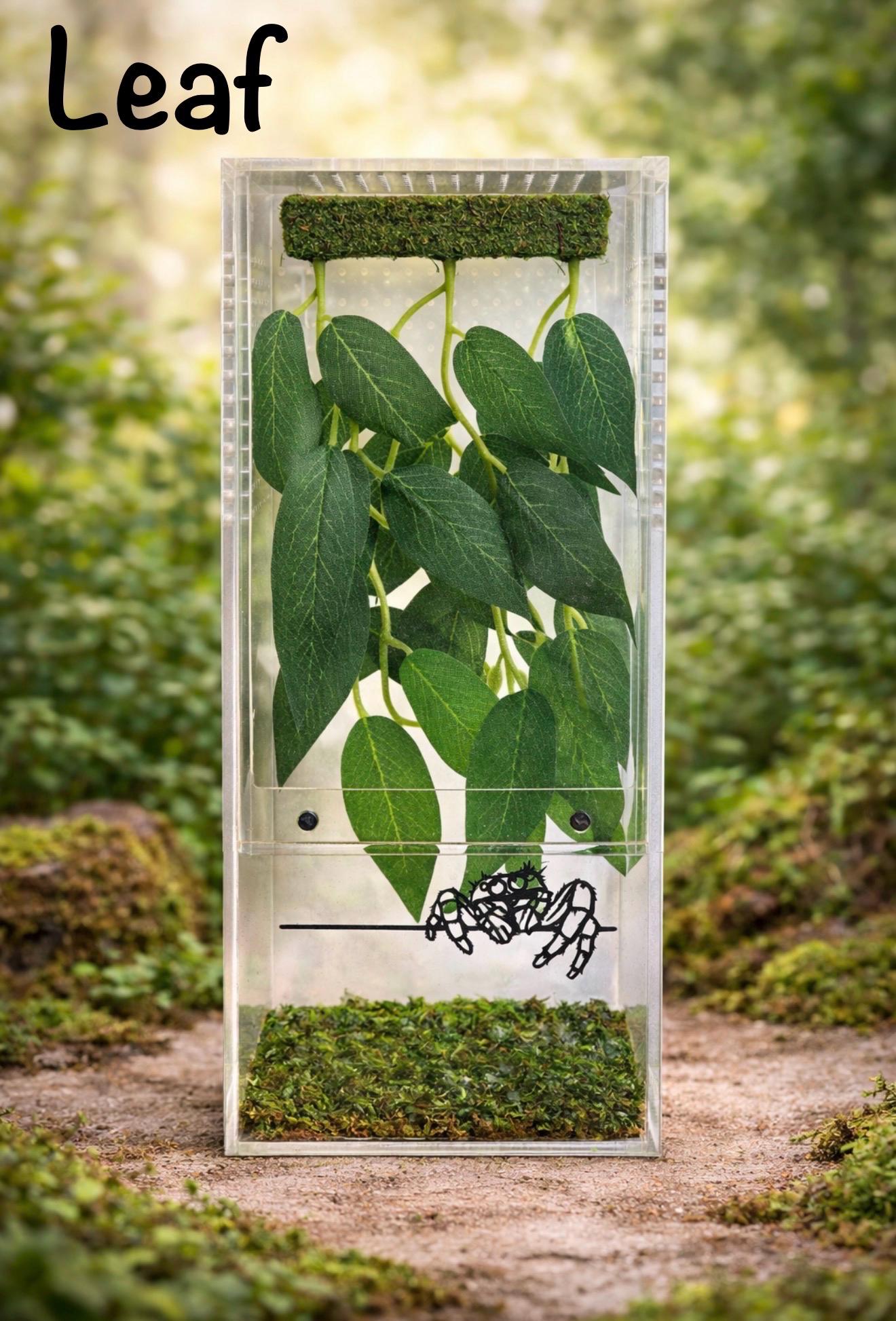 Hanging Plant Climbing Wall | Jumping Spider Enclosure Decor