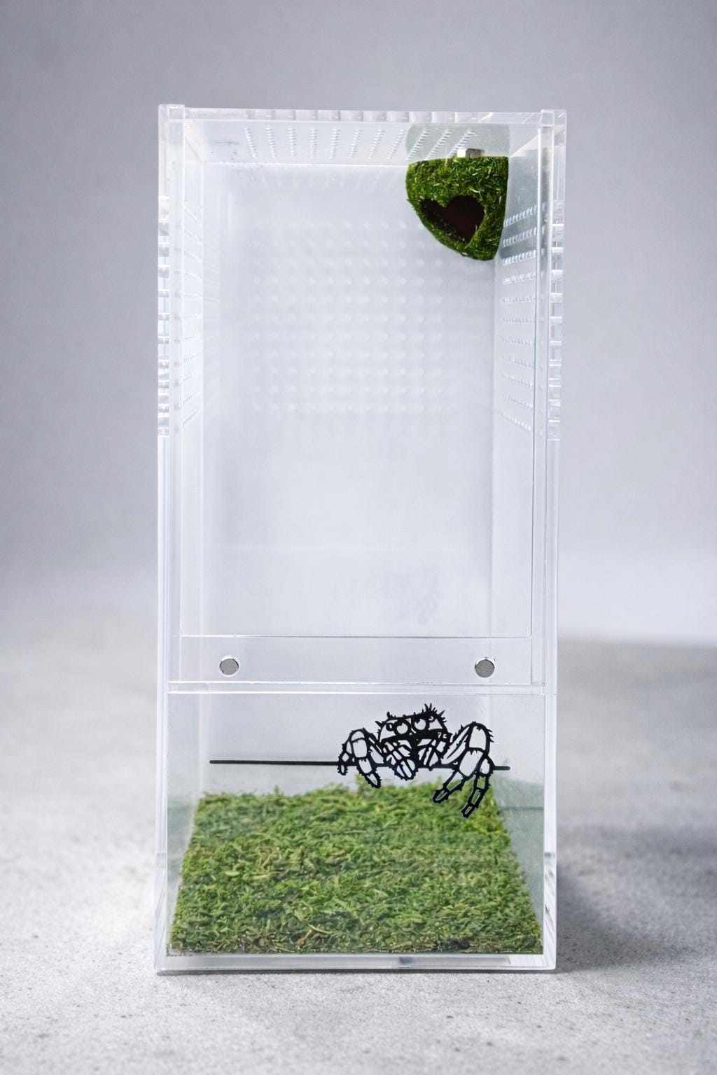 Moss Corner Heart Hide for Jumping Spider | Jumping Spider Enclosure Decor