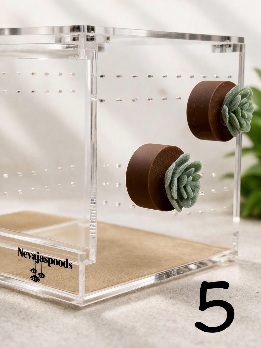 Set of 2 Bush/Succulent Ledges for Jumping Spider | Enrichment Toy