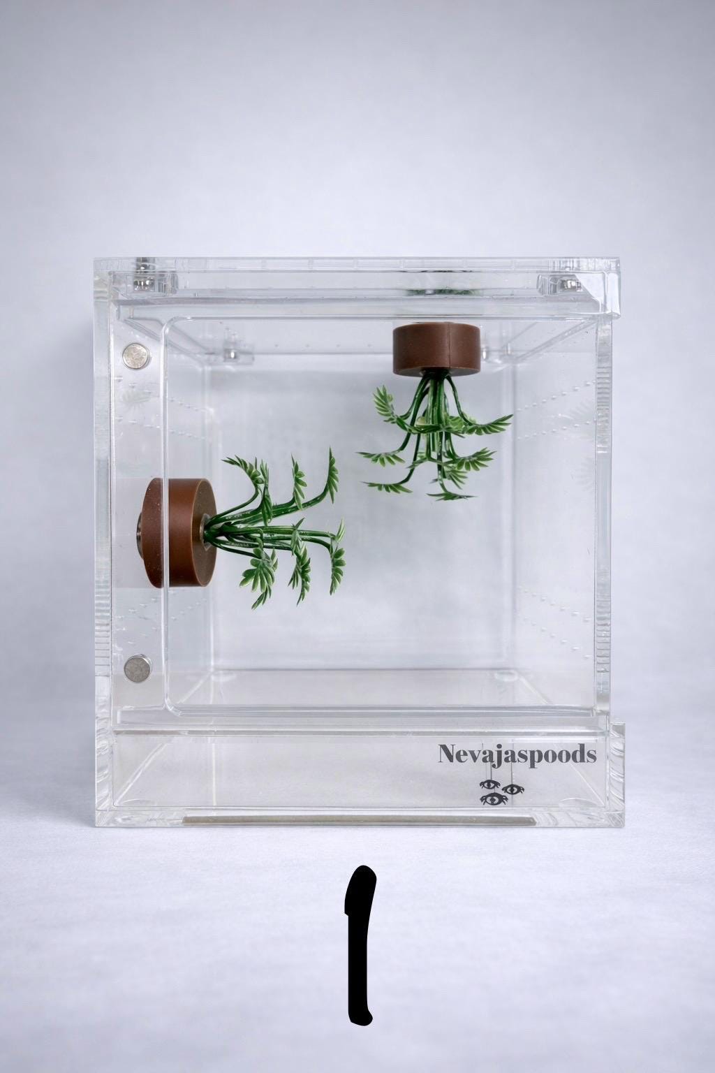 Set of 2 Bush/Succulent Ledges for Jumping Spider | Enrichment Toy