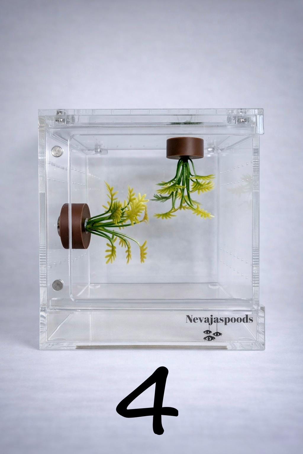 Set of 2 Bush/Succulent Ledges for Jumping Spider | Enrichment Toy
