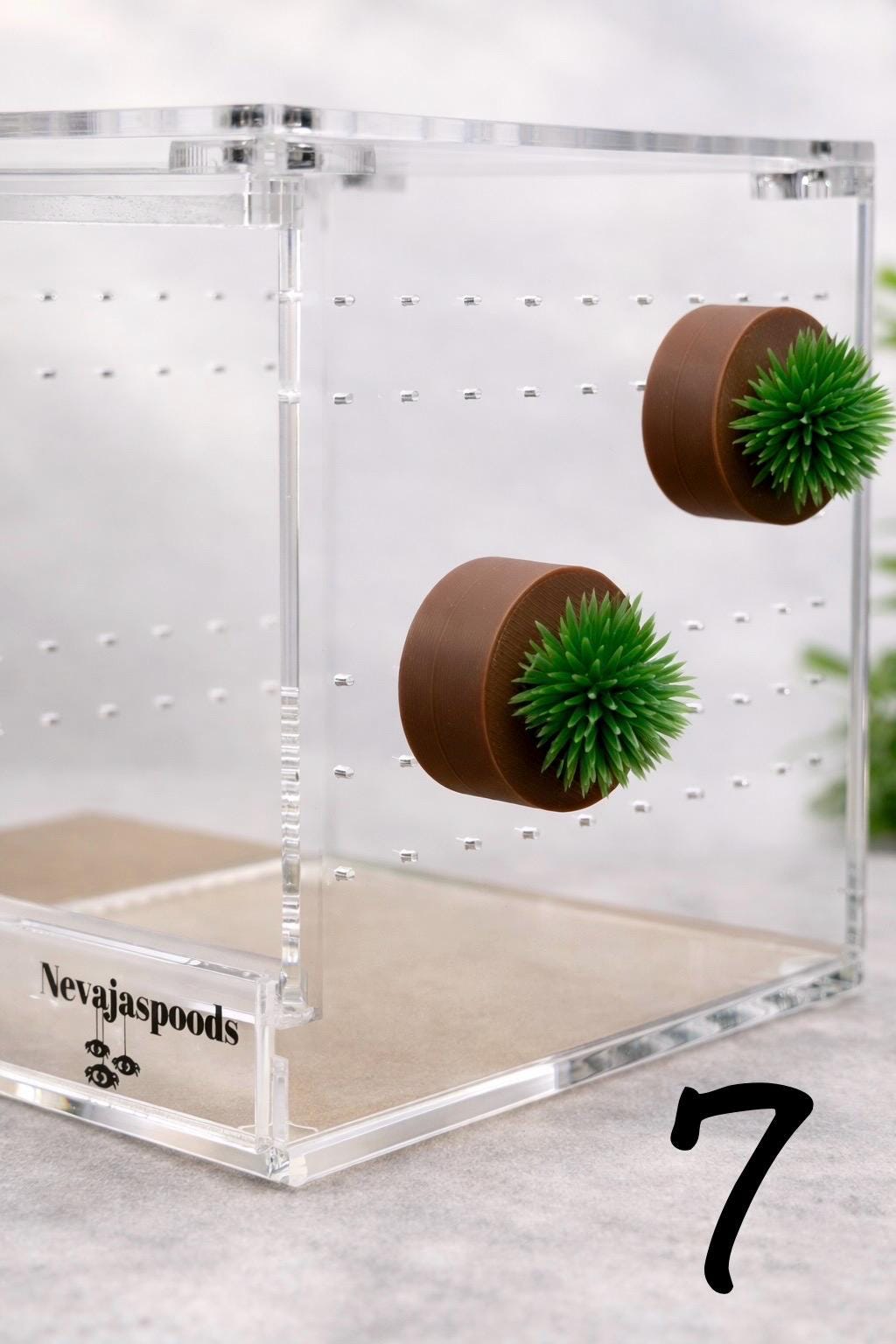 Set of 2 Bush/Succulent Ledges for Jumping Spider | Enrichment Toy