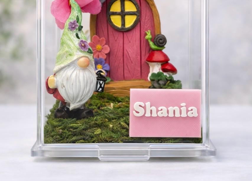 Personalized Name Plate for Jumping Spider Enclosure | Spider Habitat | Spider Enclosure Essentials