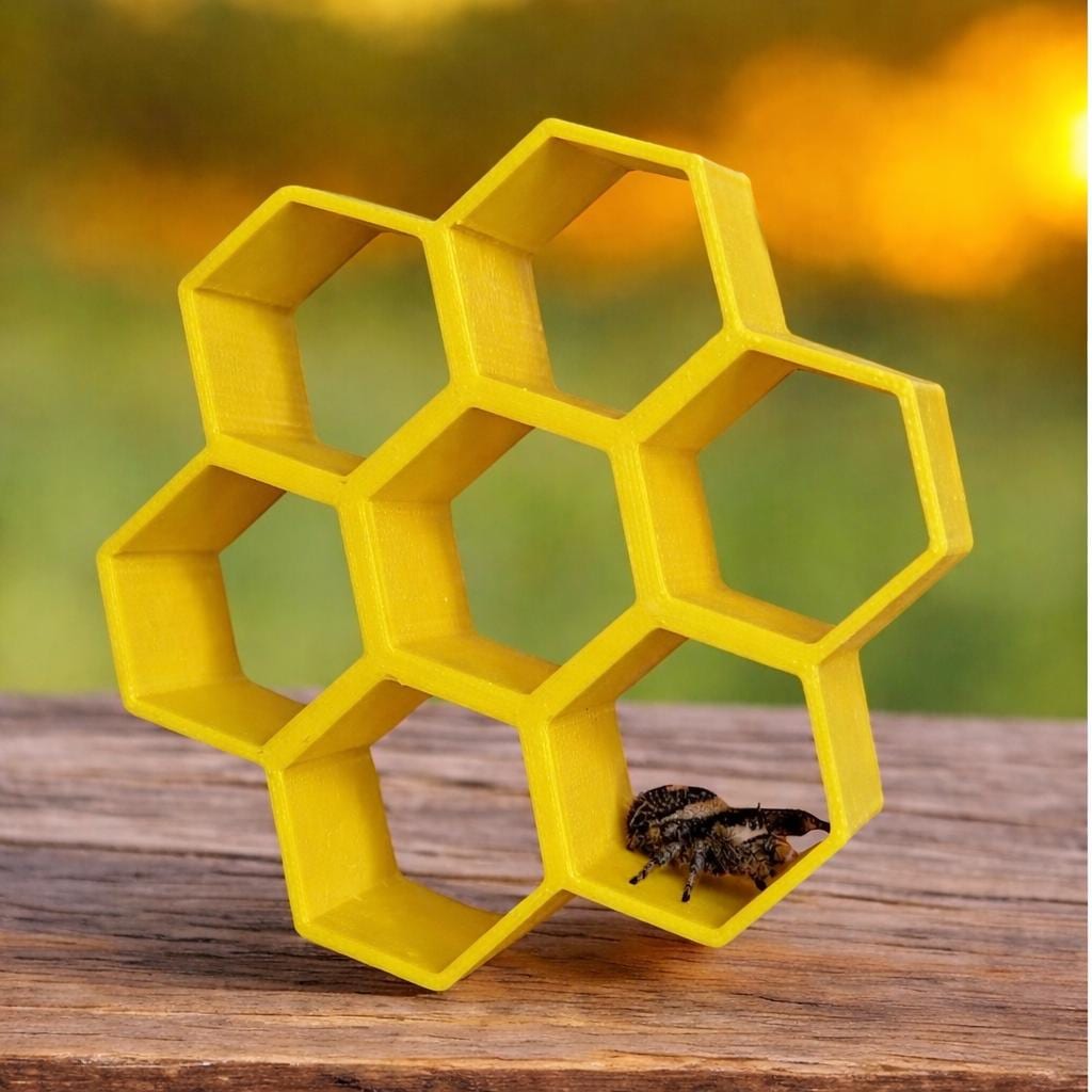 Honeycomb Jumping Spider Enclosure Decor