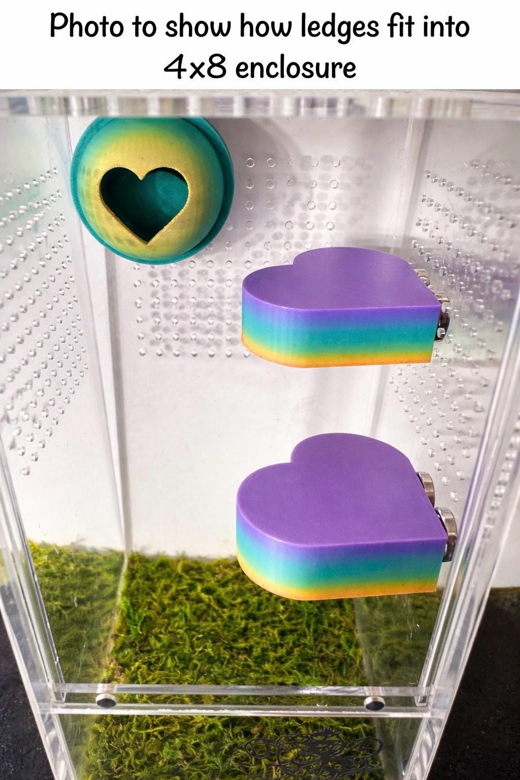 Set of 2 Heart Jumping Spider Ledges | Spider Enclosure Decor | Spider Habitat Decor | Enclosure Decor