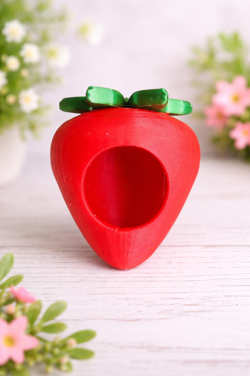 Strawberry Hide | Jumping Spider Enclosure Decor