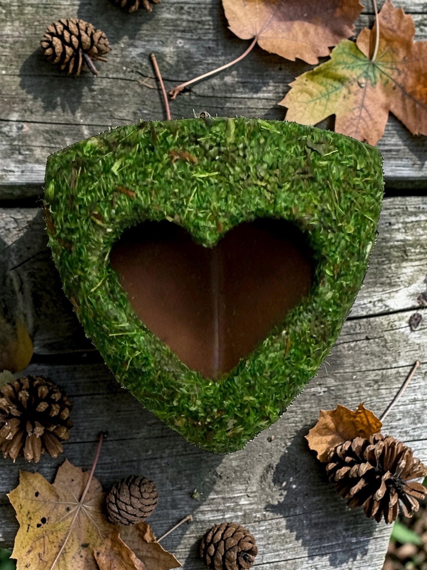 Moss Corner Heart Hide for Jumping Spider | Jumping Spider Enclosure Decor