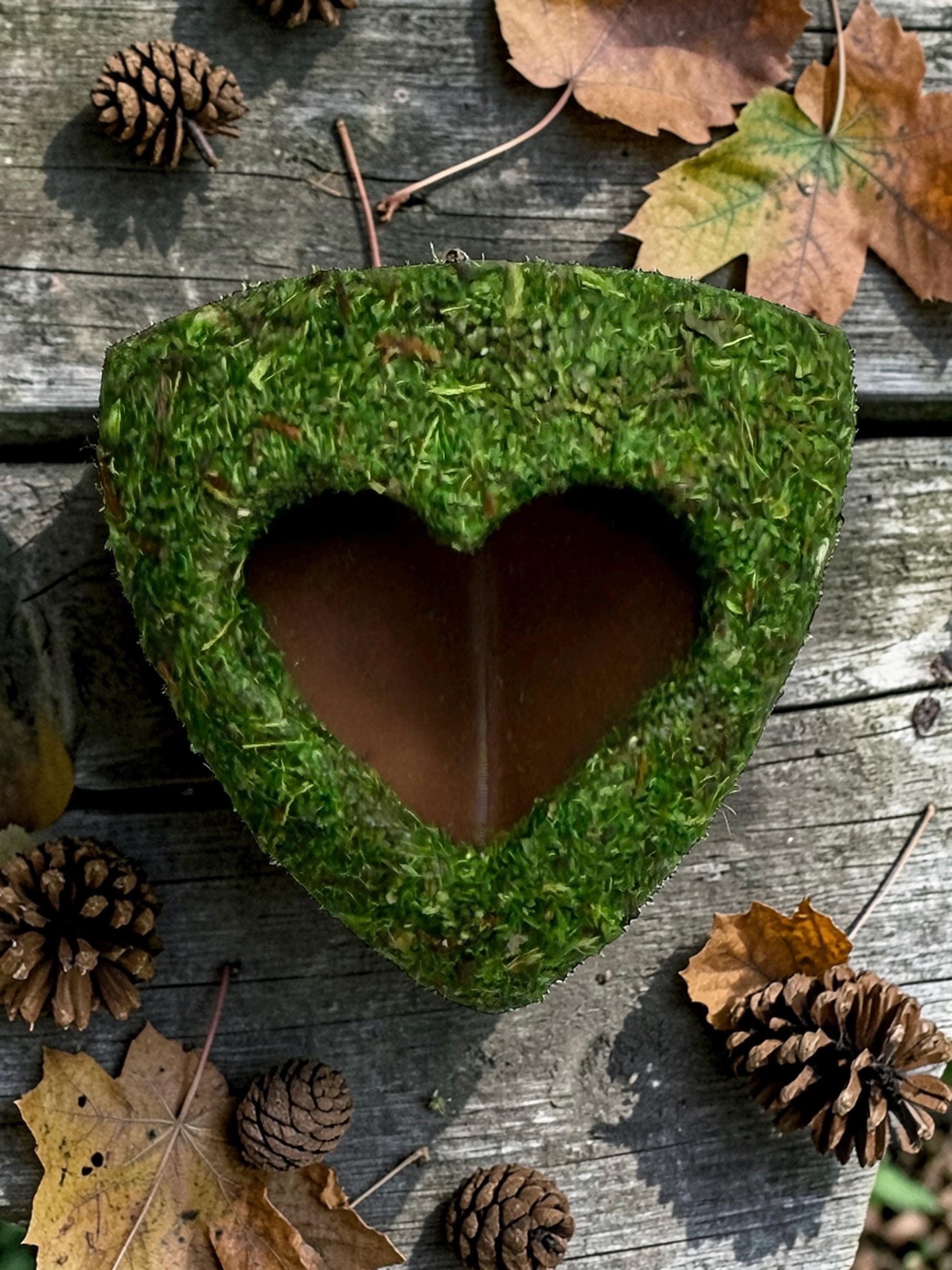 Moss Corner Heart Hide for Jumping Spider | Jumping Spider Enclosure Decor