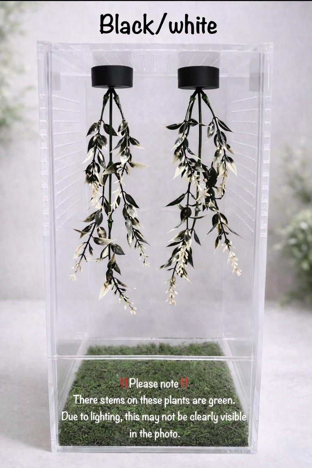 Set of 2 Hanging Plant Jumping Spider Playground | Hanging Gym | Enrichment Toy