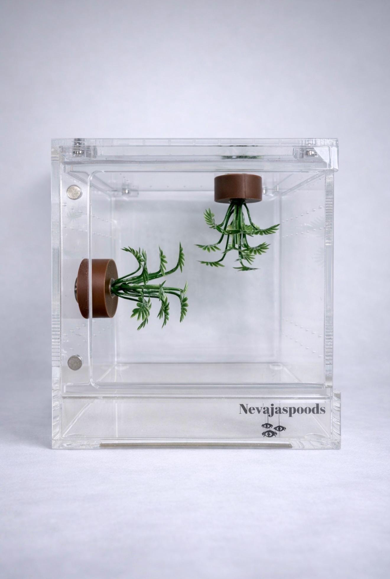 Set of 2 Bush/Succulent Ledges for Jumping Spider | Enrichment Toy