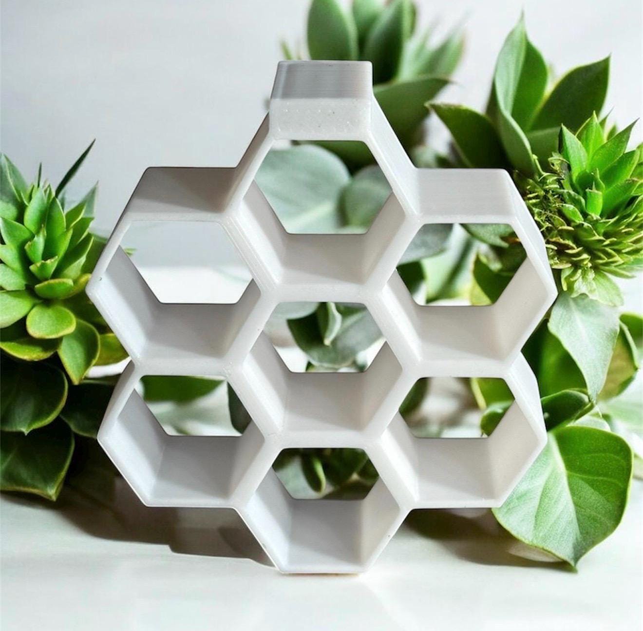 Honeycomb Jumping Spider Enclosure Decor