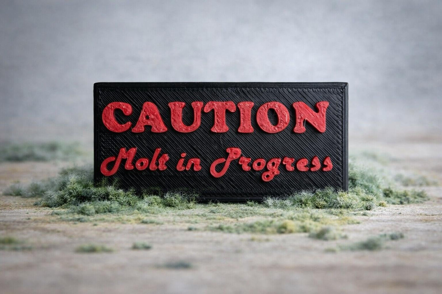 Molting Sign for Jumping Spider Enclosure | Spider Habitat | Spider Enclosure Essentials