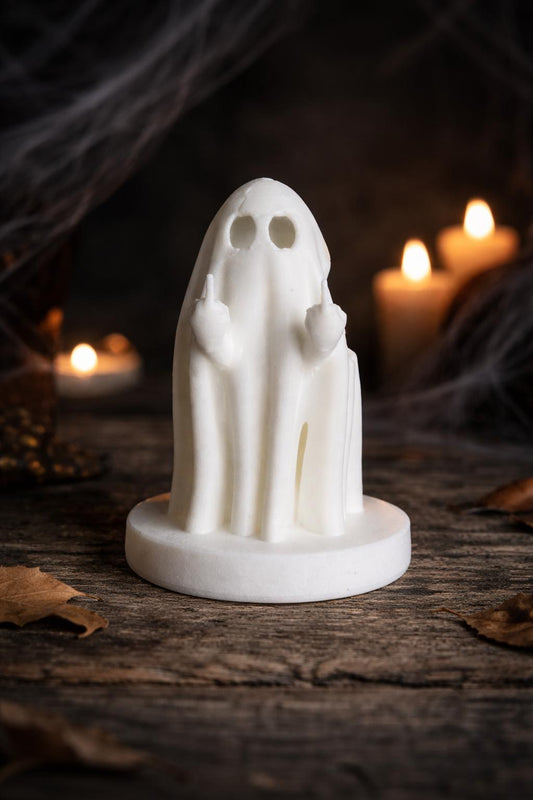 No Boo’s Given Hide | Jumping Spider Enclosure Decor