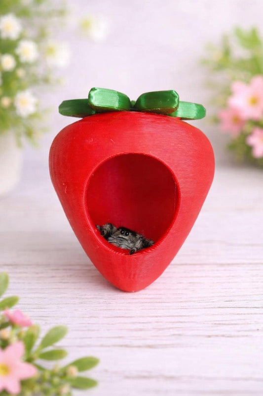 Strawberry Hide | Jumping Spider Enclosure Decor