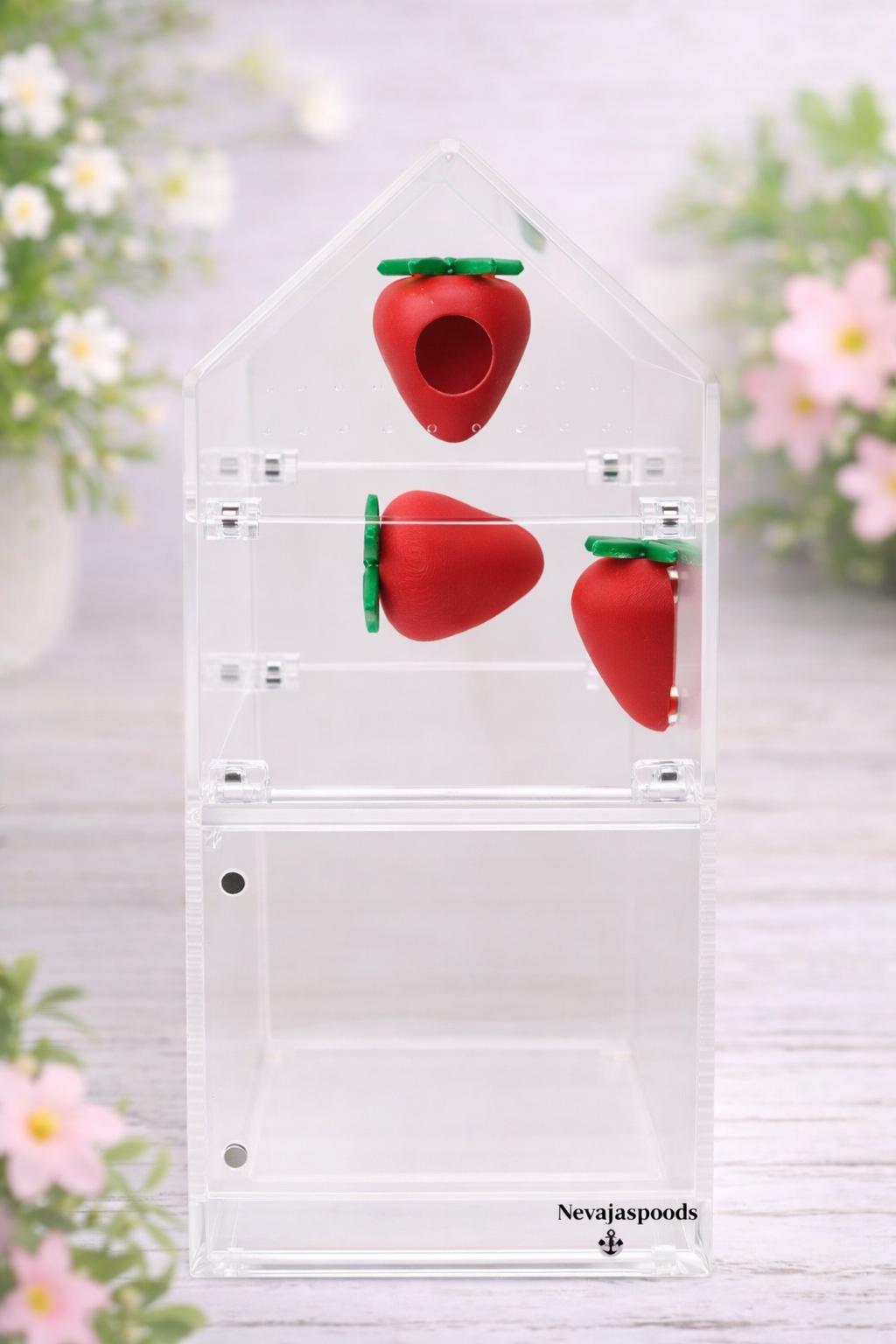 Strawberry Decor Set for Jumping Spider | Spider Hide & Ledges | Jumping Spider Enclosure Accessories