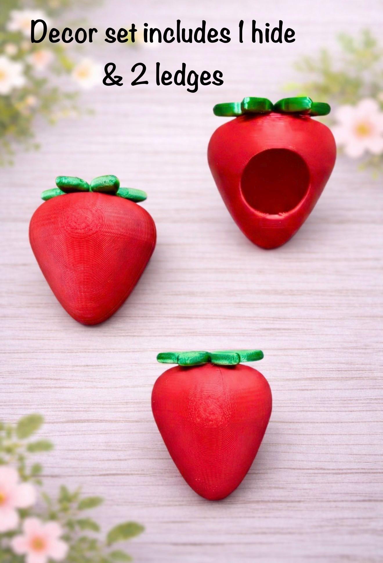 Strawberry Decor Set for Jumping Spider | Spider Hide & Ledges | Jumping Spider Enclosure Accessories
