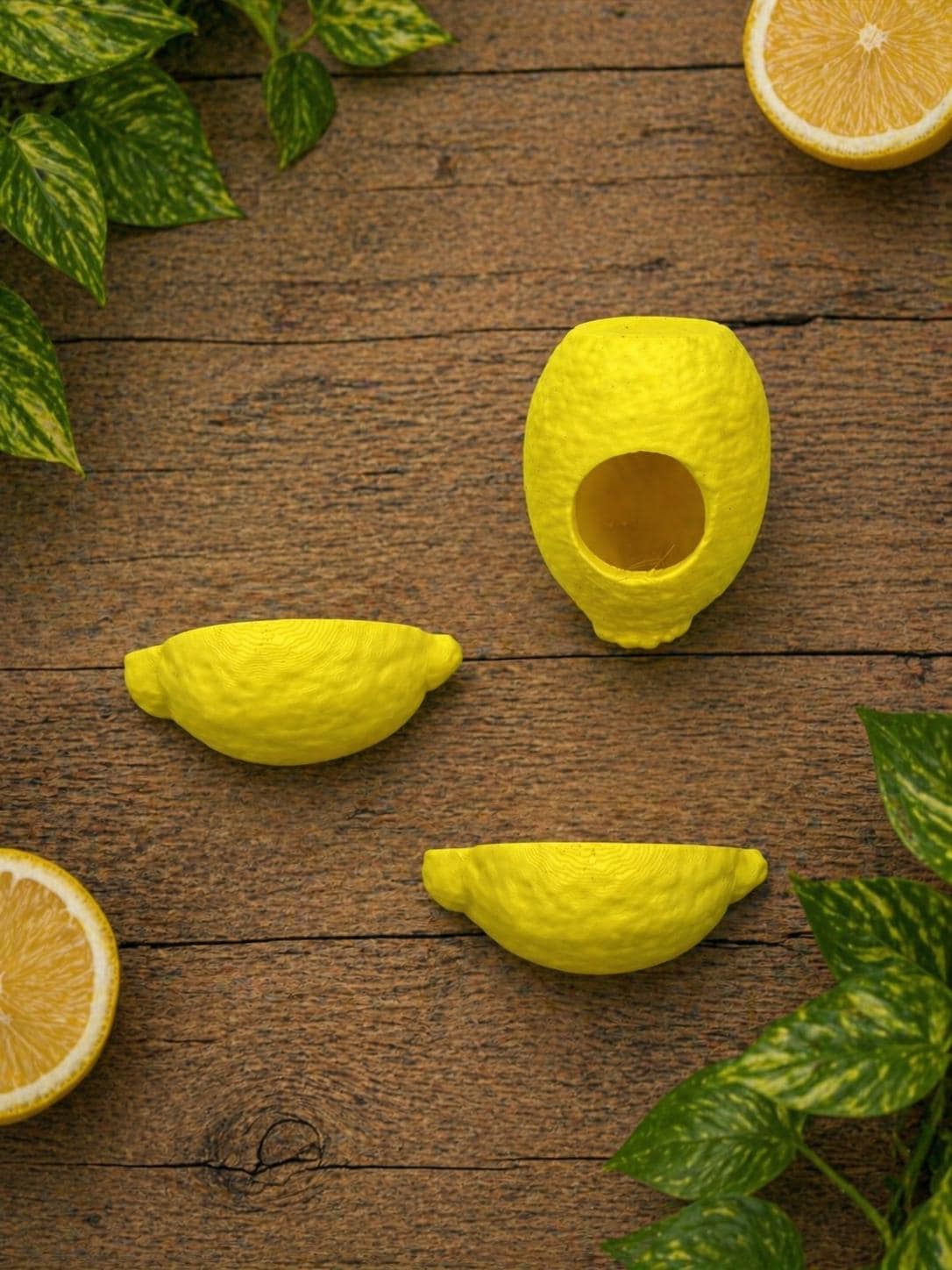 Lemon Decor Set for Jumping Spider | Spider Hide & Ledges | Jumping Spider Enclosure Accessories