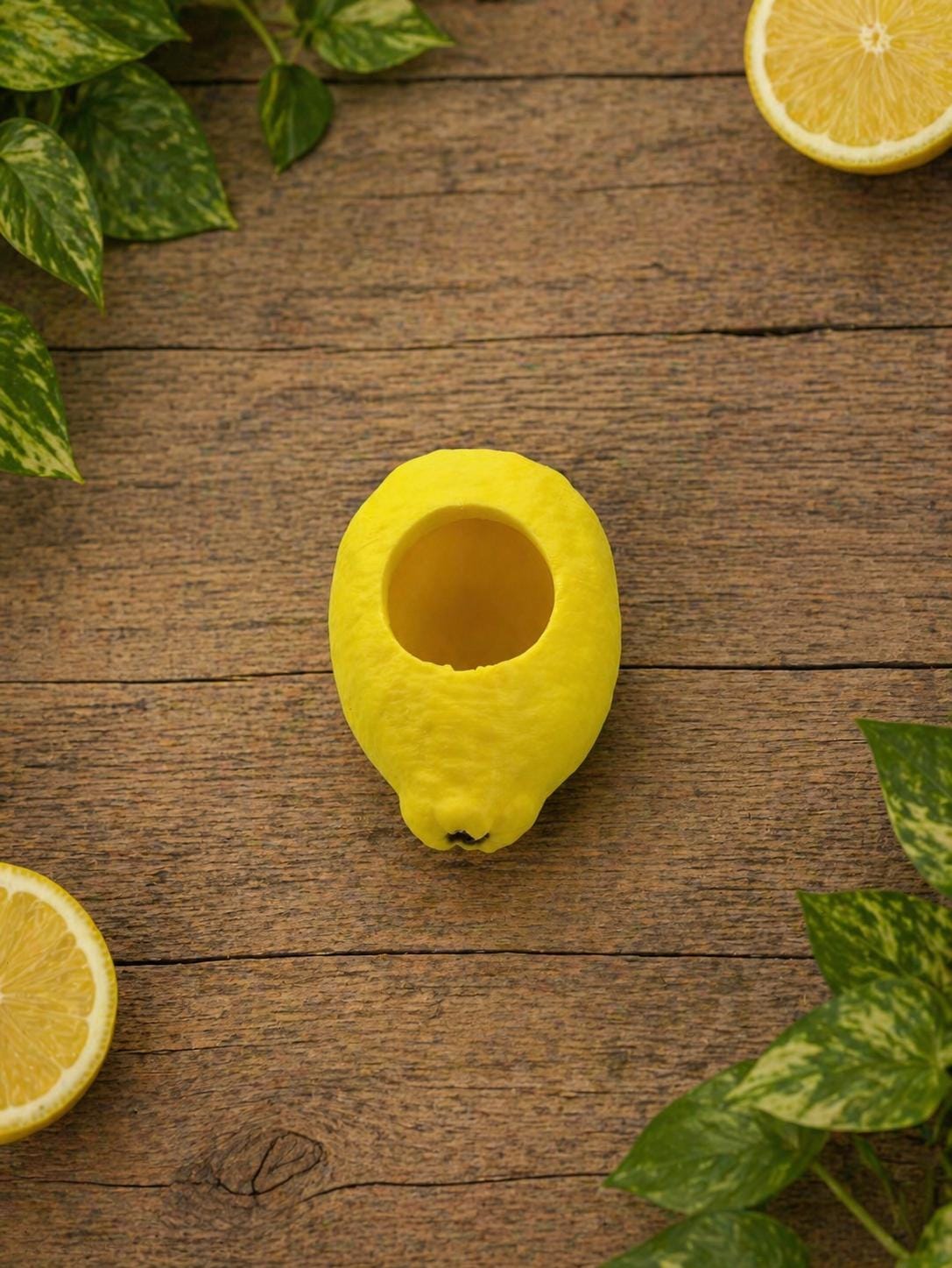 Lemon Decor Set for Jumping Spider | Spider Hide & Ledges | Jumping Spider Enclosure Accessories