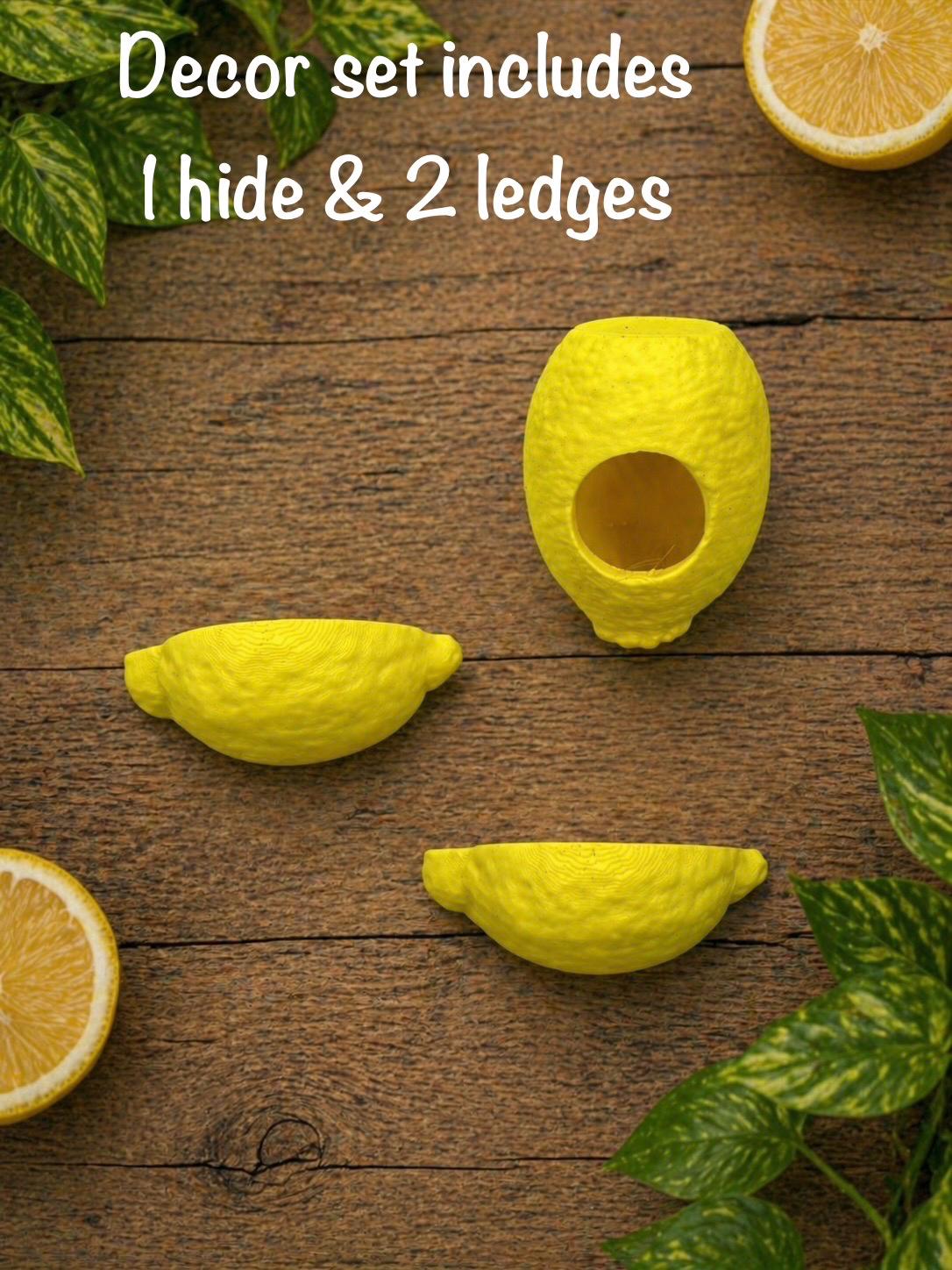 Lemon Decor Set for Jumping Spider | Spider Hide & Ledges | Jumping Spider Enclosure Accessories