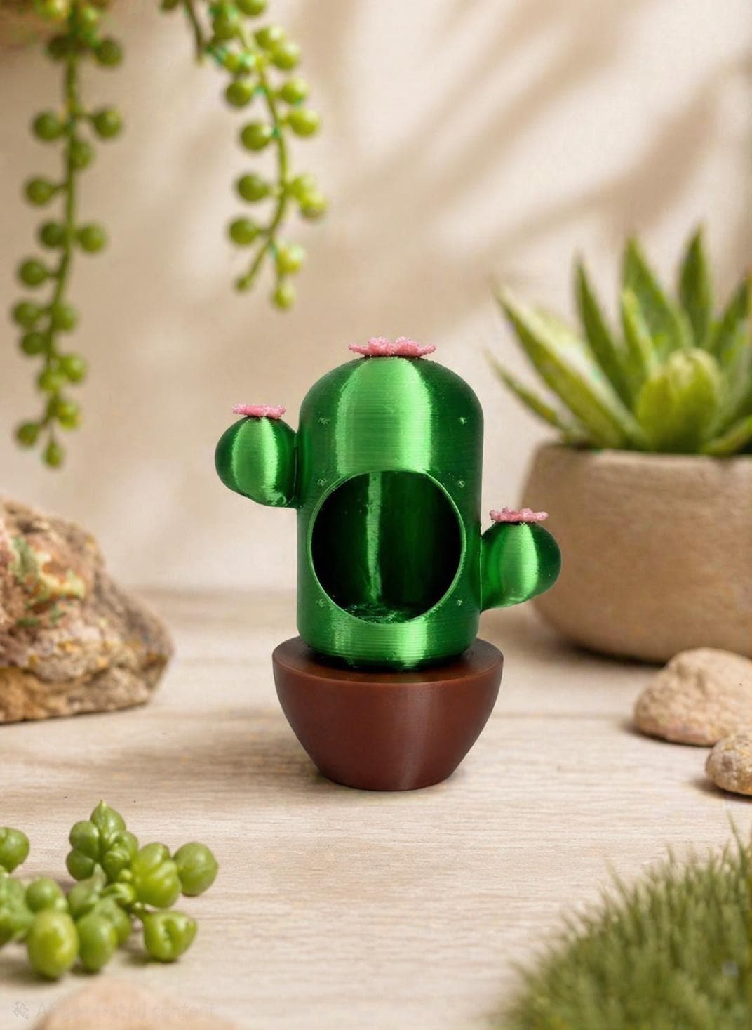 Cactus Hide | Jumping Spider Enclosure Decor