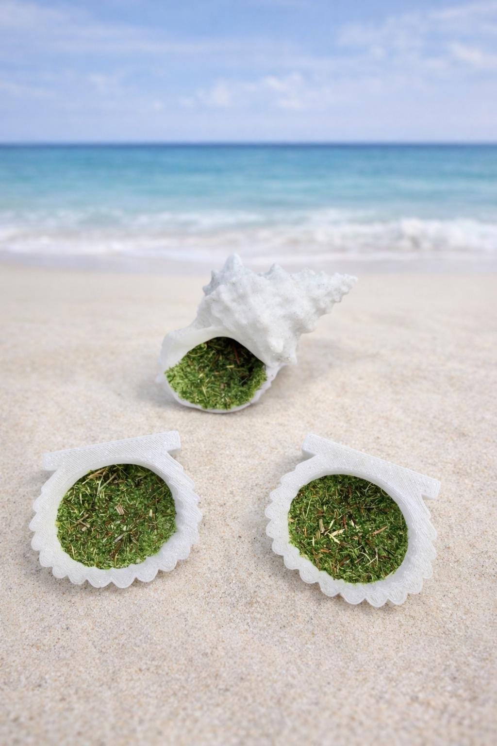 Seashell Decor Set for Jumping Spider | Spider Hide & Ledges | Jumping Spider Enclosure Accessories