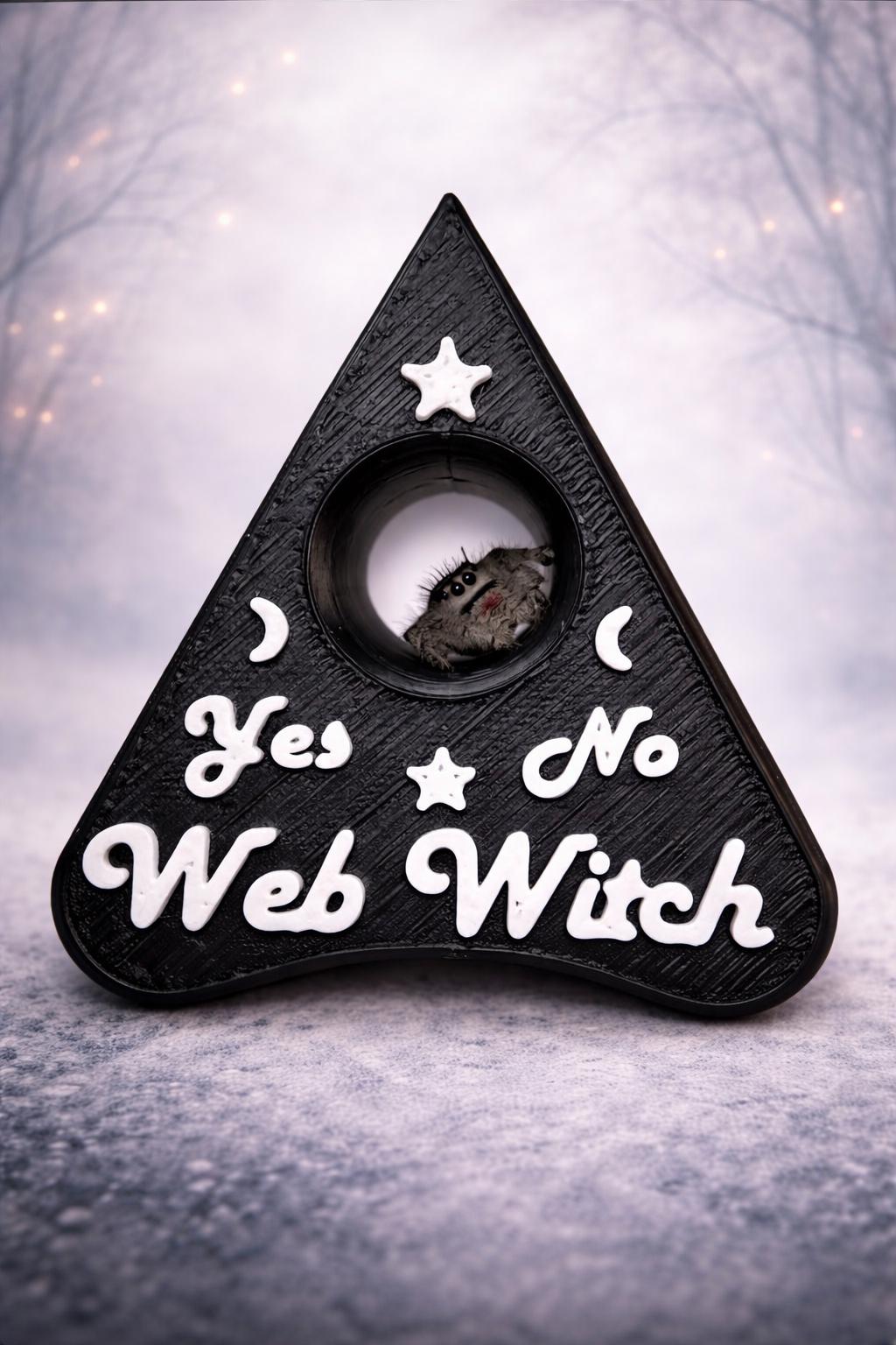 Ouija Planchette Hide| Jumping Spider Enclosure Decor