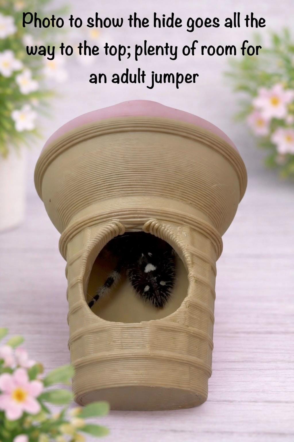 Ice Cream Cone Hide | Jumping Spider Enclosure Decor