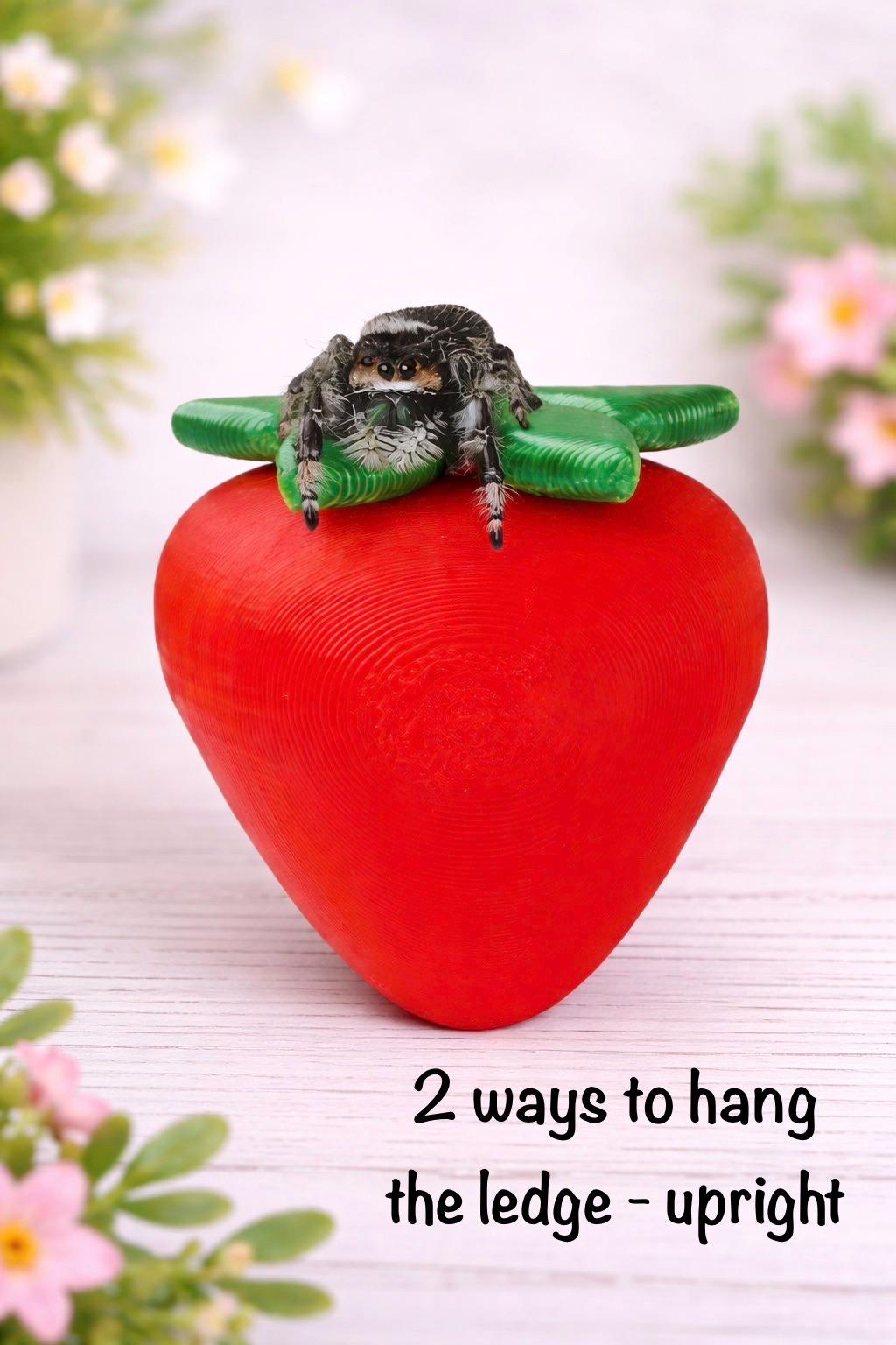 Strawberry Decor Set for Jumping Spider | Spider Hide & Ledges | Jumping Spider Enclosure Accessories