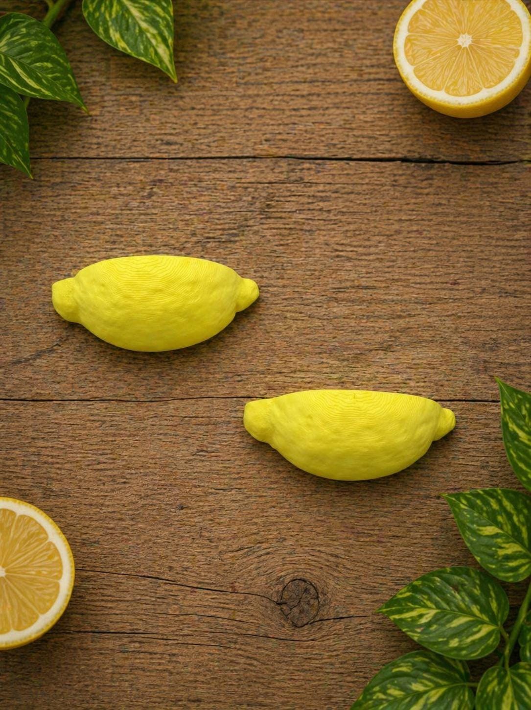Set of 2 Lemon Jumping Spider Ledges | Spider Enclosure Decor | Spider Habitat Decor | Enclosure Decor