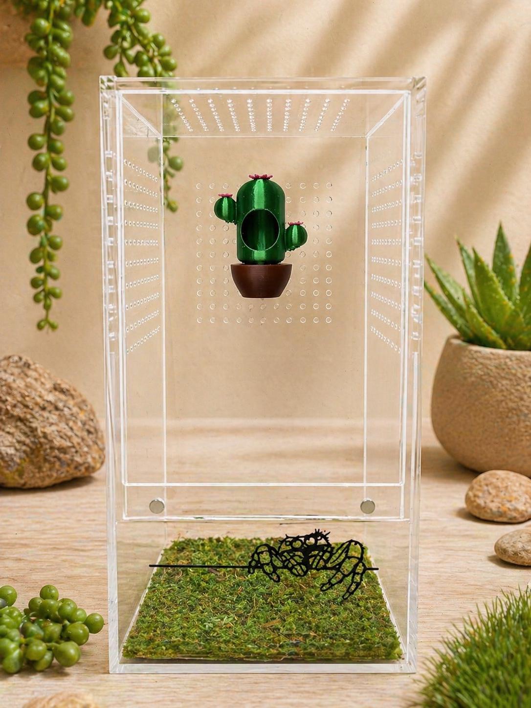 Cactus Hide | Jumping Spider Enclosure Decor