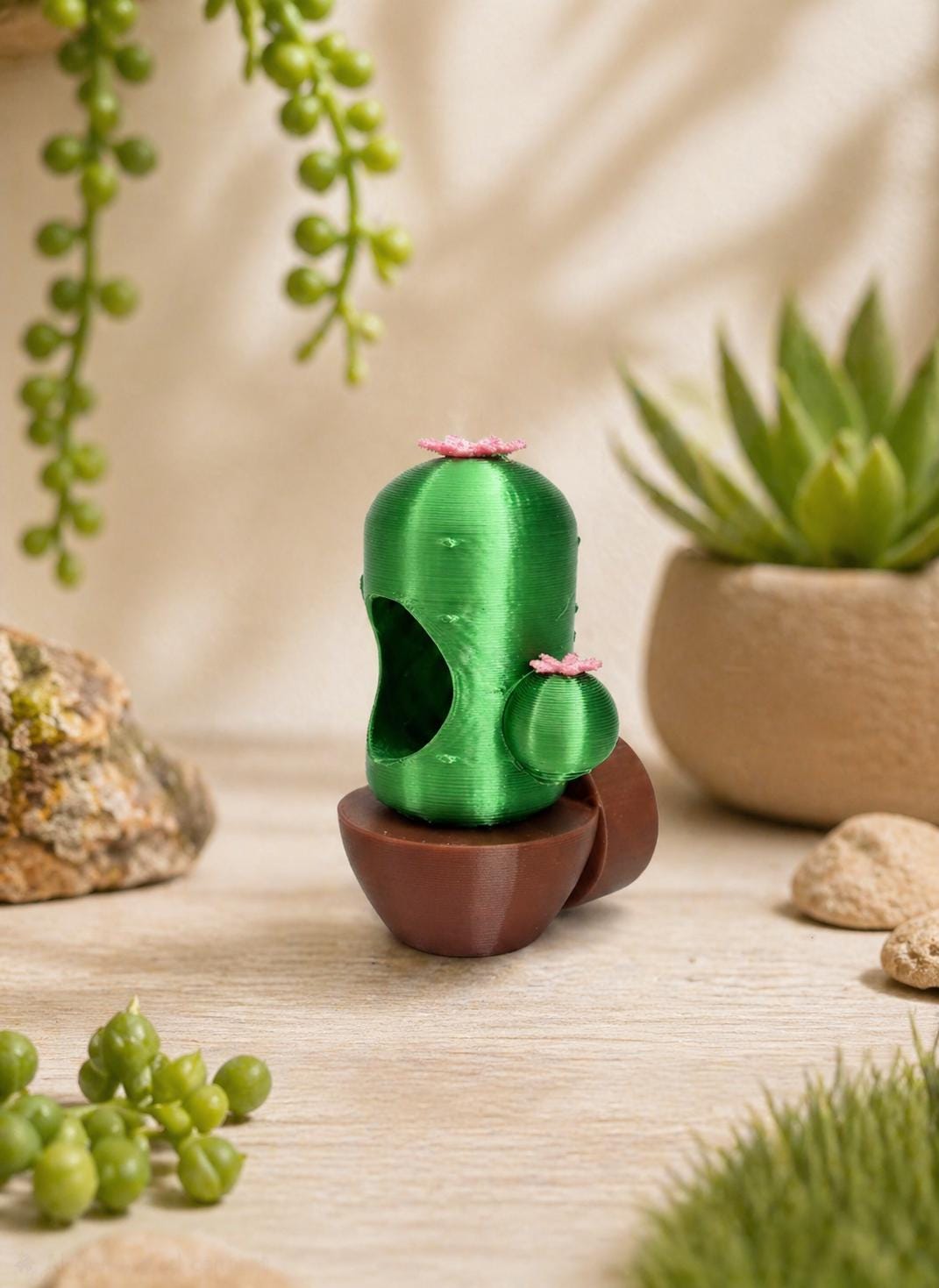 Cactus Hide | Jumping Spider Enclosure Decor