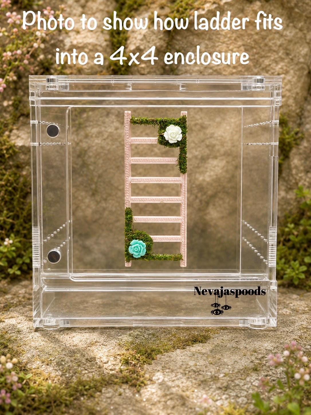 Moss & Flower Jumping Spider Ladder | Jumping Spider Enclosure Decor