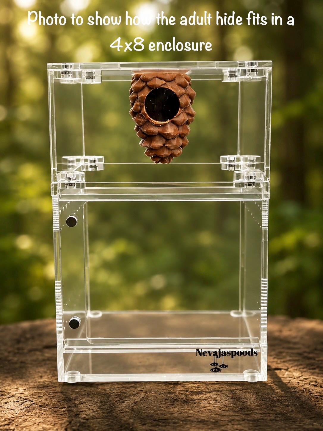 Pinecone Hide | Jumping Spider Enclosure Decor