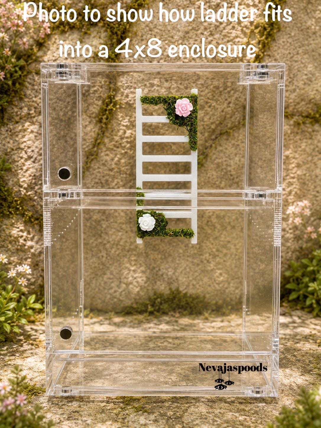 Moss & Flower Jumping Spider Ladder | Jumping Spider Enclosure Decor