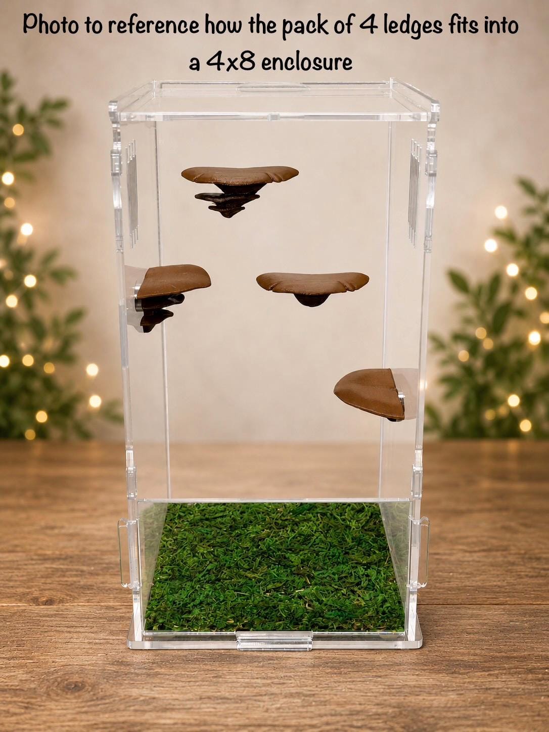 Pack of 4 Mushroom Ledges for Jumping Spider | Spider Enclosure Decor | Spider Habitat Decor | Enclosure Decor