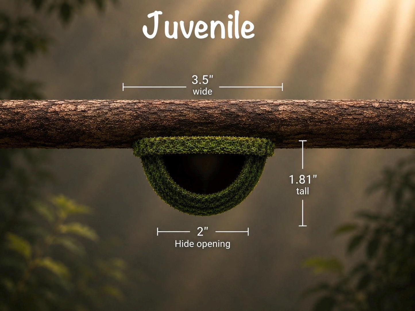 Arboreal Moss Hide for Small Reptiles, Amphibians & Spiders | Natural Terrarium Habitat Decor