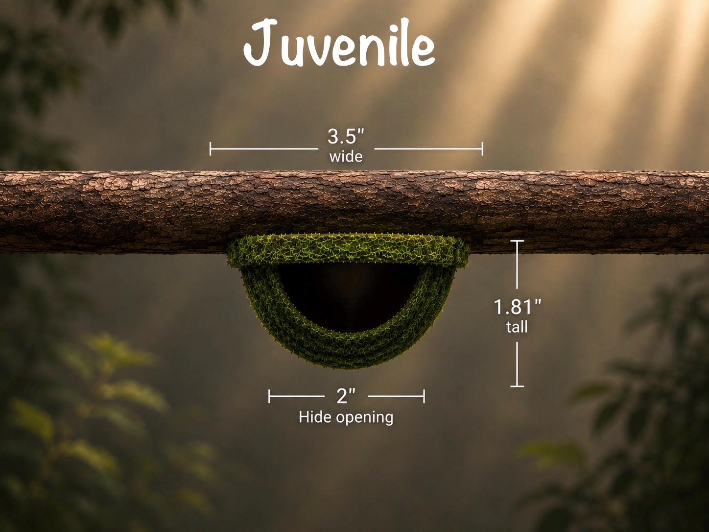 Arboreal Moss Hide for Small Reptiles, Amphibians & Spiders | Natural Terrarium Habitat Decor