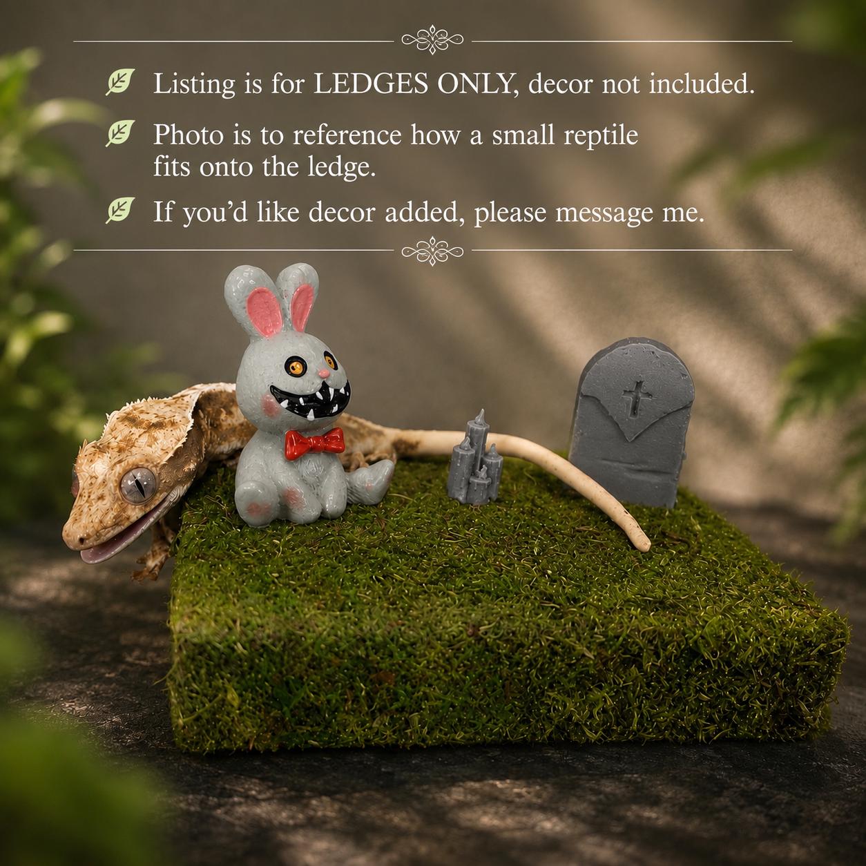 Terrarium Ledge for Small Reptiles, Amphibians & Spiders | Enclosure Habitat Accessory