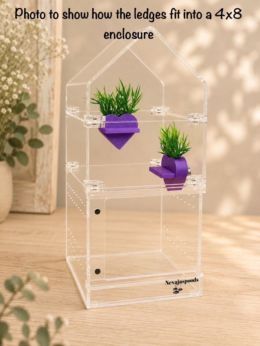 Set of 2 Planter Jumping Spider Ledges | Spider Enclosure Decor | Spider Habitat Decor | Enclosure Decor