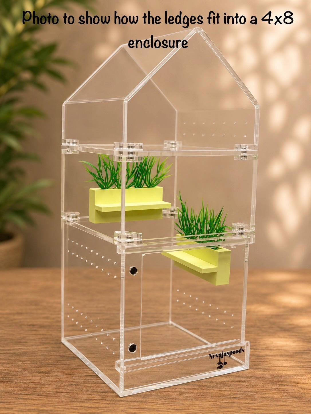 Set of 2 Planter Jumping Spider Ledges | Spider Enclosure Decor | Spider Habitat Decor | Enclosure Decor