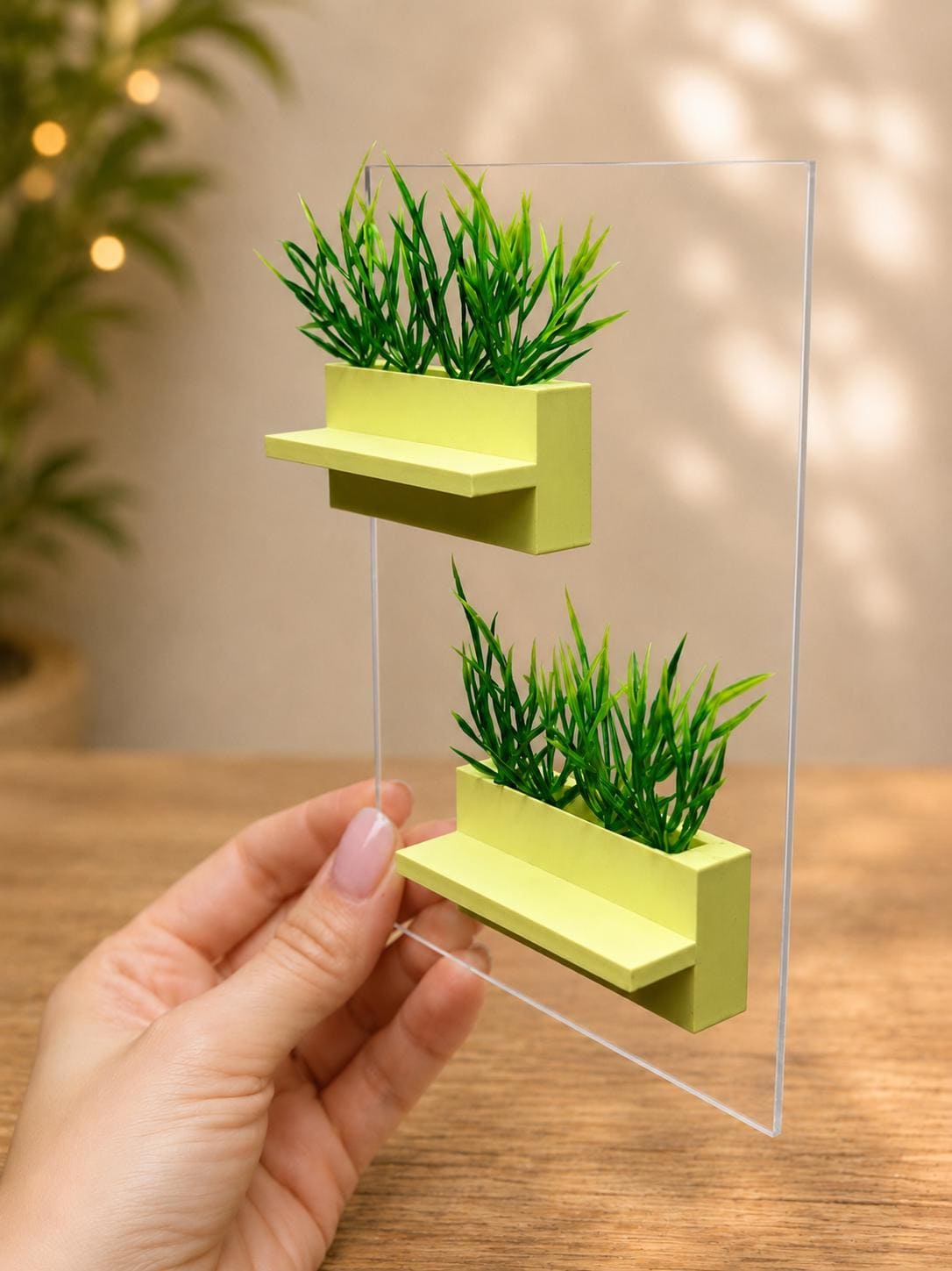 Set of 2 Planter Jumping Spider Ledges | Spider Enclosure Decor | Spider Habitat Decor | Enclosure Decor