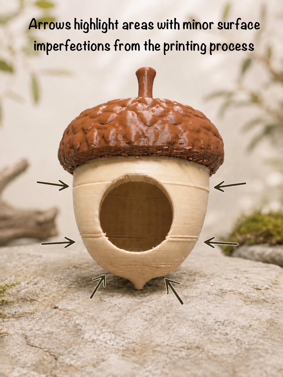 DISCOUNTED Acorn Hide