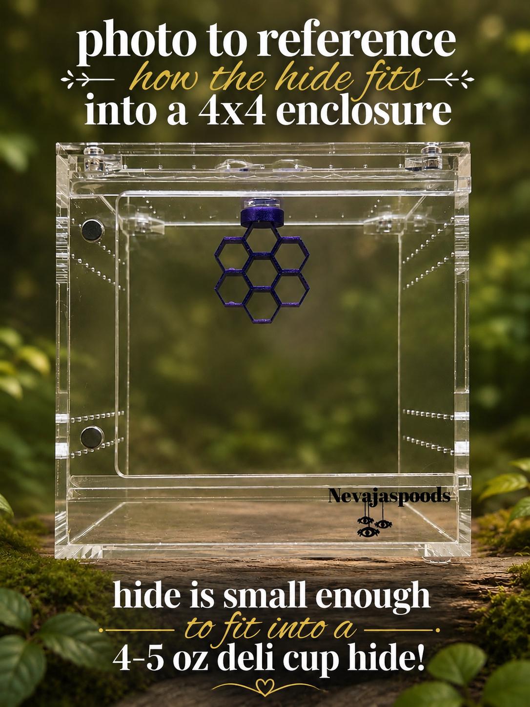 Mini honeycomb for sling jumping spiders | Jumping Spider Enclosure Decor