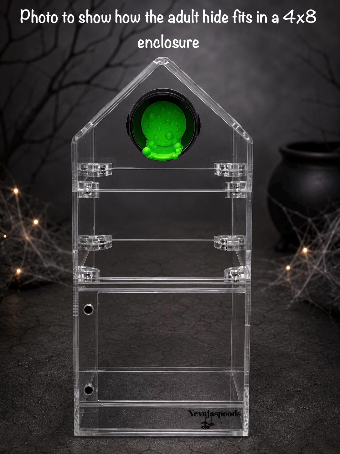 Cauldron Hide | Jumping Spider Enclosure Decor