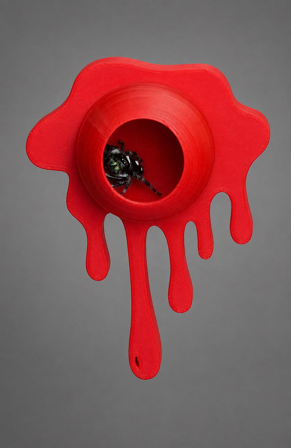 Drip Hide | Jumping Spider Enclosure Decor