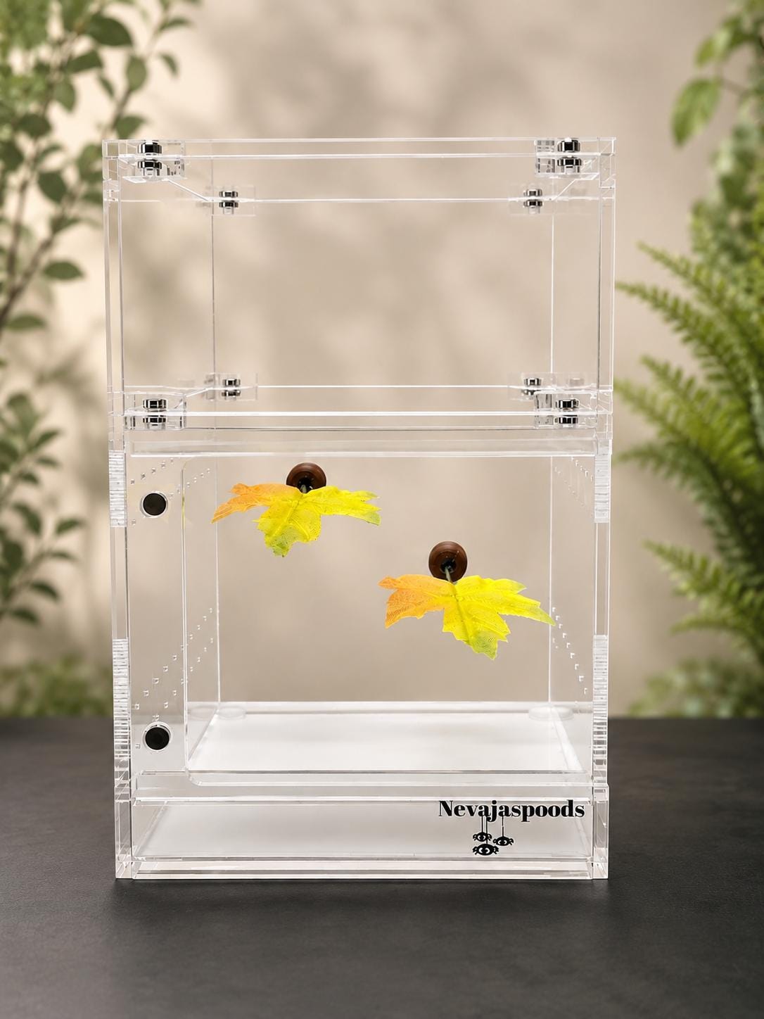 Set of 2 Leaf Ledge for Jumping Spider | Spider Enclosure Decor | Spider Habitat Decor | Enclosure Decor