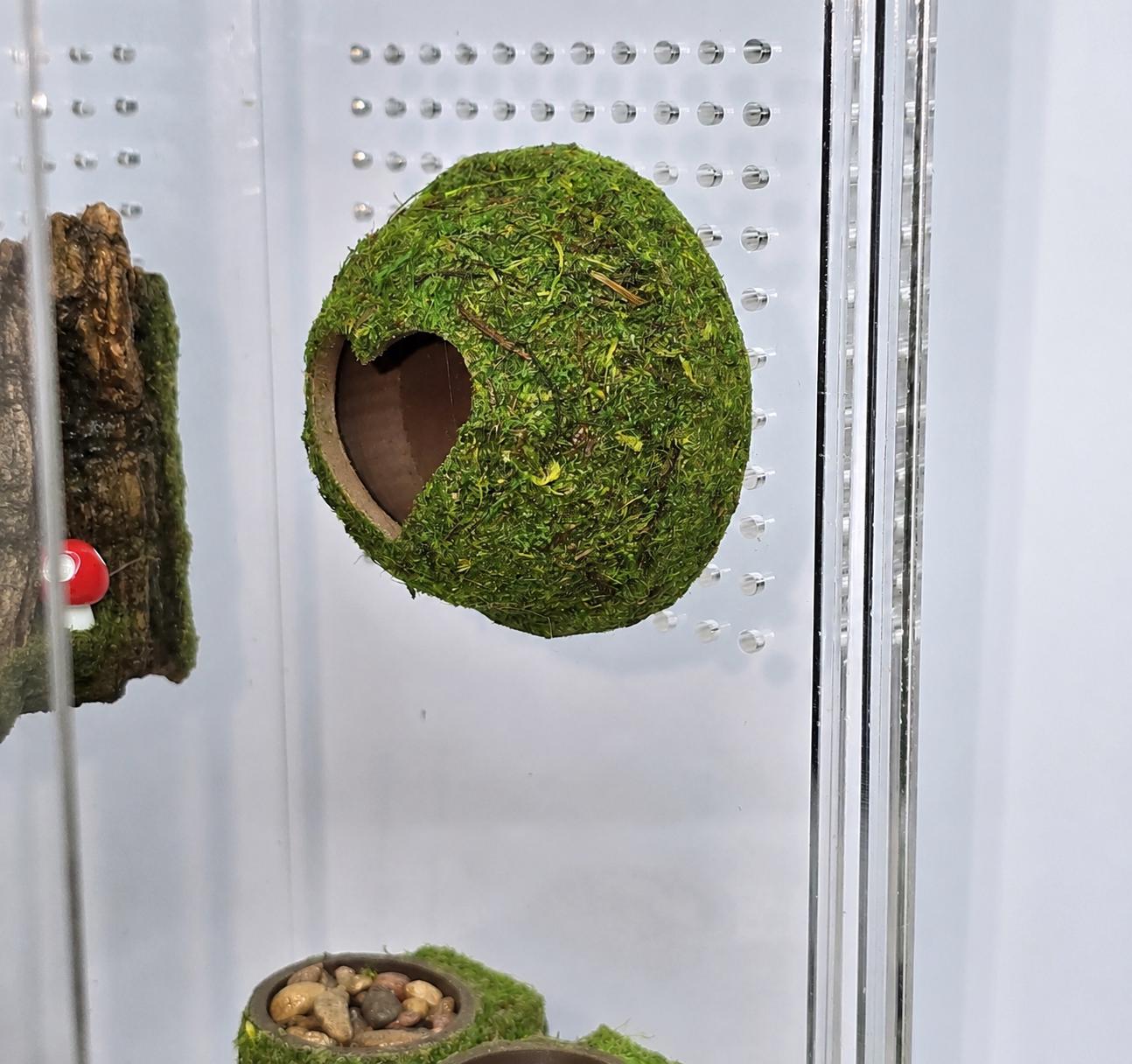 Moss Heart Dome Hide for Jumping Spider | Jumping Spider Enclosure Decor
