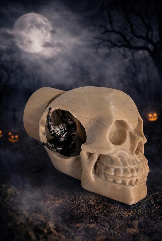Skull Hide | Jumping Spider Enclosure Decor