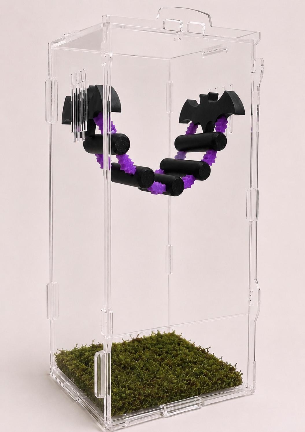 Jumping Spider Batty Bridge| Spider Enclosure Decor | Terrarium Accessory