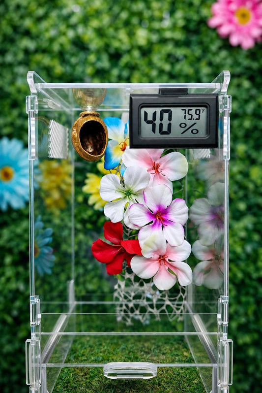 Mini LED Digital Electronic Temperature Humidity Meter | Spider Habitat | Spider Enclosure Essentials